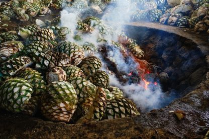 Mezcal for Newbies